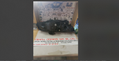 Oto Çıkma Parça / Honda / Civic / Far & Stop / Sol Ön Far / Sıfır Parça 