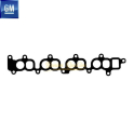 Chevroler Captiva 2.0 Dizel C100 Emme Manifold Contası