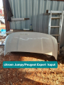 citroen Jumpy/Peugeot Expert  kaput