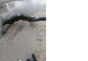 Oto Çıkma Parça / Scania / 420 / Filtre / Hava Filtresi Hortumu / Çıkma Parça 