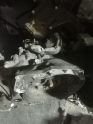 Oto Çıkma Parça / Ford / C-Max / Şanzıman / Şanzıman Komple / Çıkma Parça 
