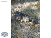 Oto Çıkma Parça / Volvo / S80 / Far & Stop / Sol Ön Far / Çıkma Parça 
