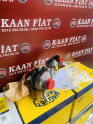 Oto Çıkma Parça / Fiat / Egea / Motor / Turbo / Sıfır Parça 