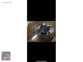 Oto Çıkma Parça  / Renault / Megane / Arma & Yazı / Çıkma Parça 