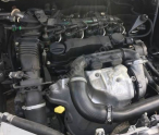 FORD FOCUS DV6 1.6 DİZEL MOTOR GIRTLAK DOLU