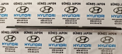 Oto Çıkma Parça / Hyundai / Accent / Oto Cam / Cam Fitili / Sıfır Parça 
