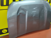 Oto Çıkma Parça / Renault / Duster / Kaporta & Karoser / Kaput / Çıkma Parça 