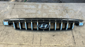 HYUNDAİ STAREX ÖN PANJUR