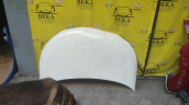 Oto Çıkma Parça / Opel / Crossland X / Kaporta & Karoser / Kaput / Çıkma Parça 