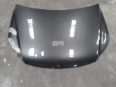 TİGUAN MOTOR KAPUTU