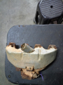 Oto Çıkma Parça / Opel / Corsa / Egzoz / Egzoz Manifoldu / Çıkma Parça 