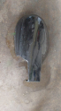 Clio symbol thalia sağ dış ayna kapağı orijinal