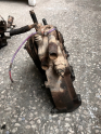 Oto Çıkma Parça / Renault / R 21 / Motor / Emme Manifoldu / Çıkma Parça 