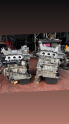 Oto Çıkma Parça / Volkswagen / Polo / Motor / Motor (komple) / Çıkma Parça 