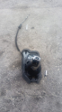 BMW E60 JOİSTİK VİTES