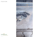 Oto Çıkma Parça / Fiat / Punto / Far & Stop / Sağ Arka Stop / Çıkma Parça 
