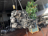Oto Çıkma Parça / Volkswagen / Polo / Oto Cam / Cam Motoru / Çıkma Parça 