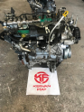 Oto Çıkma Parça / Fiat / Linea / Motor / Motor (komple) / Çıkma Parça 