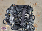 Oto Çıkma Parça / Ford / Focus / Motor / Motor (komple) / Çıkma Parça 