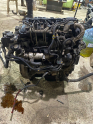 Oto Çıkma Parça / Ford / Focus / Motor / Motor (komple) / Çıkma Parça 