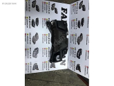 Oto Çıkma Parça / Fiat / Egea / Motor / Motor Kapağı / Çıkma Parça 