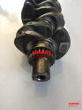 Oto Çıkma Parça / Kia / Ceed / Motor / Krank Kasnağı / Çıkma Parça 