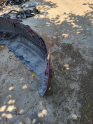 Oto Çıkma Parça / Fiat / Doblo / Tampon / Ön Tampon / Çıkma Parça 