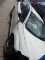 Fiat Egea sağ arka kapı