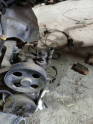 Oto Çıkma Parça / Mazda / 323 / Direksiyon / Direksiyon Pompası / Çıkma Parça 