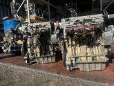 Oto Çıkma Parça / Volkswagen / Bora / Motor / Motor (komple) / Çıkma Parça 