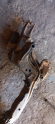 Oto Çıkma Parça / Mazda / 323 / Alt Takım / Travers / Çıkma Parça 