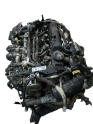 Oto Çıkma Parça / Peugeot / Expert / Motor / Motor (komple) / Çıkma Parça 