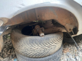 Oto Çıkma Parça / Dacia / Solenza / Kaporta & Karoser / Sağ Arka Kapı / Çıkma Parça 