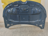 Oto Çıkma Parça / Renault / Megane / Kaporta & Karoser / Kaput / Çıkma Parça 
