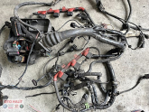 Oto Çıkma Parça / Audi / A4 / Elektrik / Elektrik Tesisatı / Çıkma Parça 