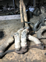 Oto Çıkma Parça / Honda / Civic / Egzoz / Komple Egzoz / Çıkma Parça 