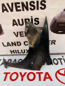 Oto Çıkma Parça / Toyota / Auris / Kaporta & Karoser / Sol Ön Çamurluk / Çıkma Parça 