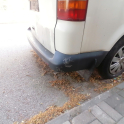 Oto Çıkma Parça / Volkswagen / Transporter / Tampon / Arka Tampon / Çıkma Parça 