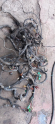 Oto Çıkma Parça / Honda / Jazz / Motor / Elektrik Tesisatı / Çıkma Parça 