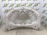 Oto Çıkma Parça / Skoda / Octavia / Kaporta & Karoser / Kaput / Çıkma Parça 