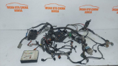 Oto Çıkma Parça / Renault / Laguna / Elektrik / Elektrik Tesisatı / Çıkma Parça 