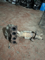 TOYOTA RAV4 2008-2010 MODEL ORJİNAL ÇIKMA KATALİZÖR