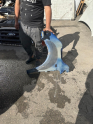 Oto Çıkma Parça / Renault / Taliant / Kaporta & Karoser / Sağ Ön Çamurluk / Çıkma Parça 