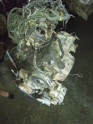 Oto Çıkma Parça / Kia / Capital / Motor / Komple Motor / Çıkma Parça 