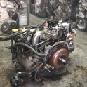 Oto Çıkma Parça / Subaru / Forester / Motor / Motor (komple) / Çıkma Parça 