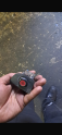 Oto Çıkma Parça / Honda / Civic / Elektrik / Dörtlü Flaşör Düğmesi / Çıkma Parça 