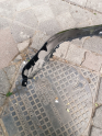 Oto Çıkma Parça / Opel / Crossland X / Tampon / Ön Tampon / Sıfır Parça 