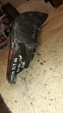 Oto Çıkma Parça / Mazda / 323 / Far & Stop / Sağ Arka Stop / Çıkma Parça 