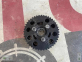 Oto Çıkma Parça / Volkswagen / Passat / Motor / Eksantrik Dişlisi / Çıkma Parça 