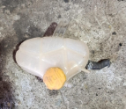 Opel Corsa d motor su haznesi